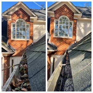 Before and After Softwash