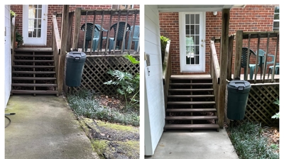 Softwash Before & After Photo