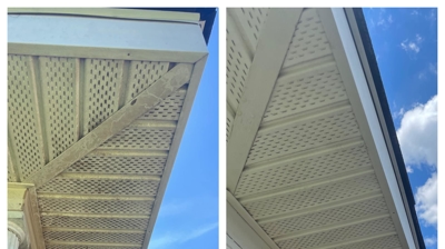 Softwash Before & After Photo