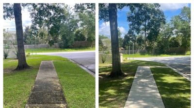 Softwash Before & After Photo