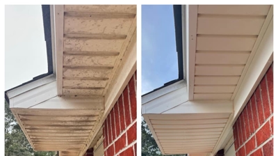 Softwash Before & After Photo