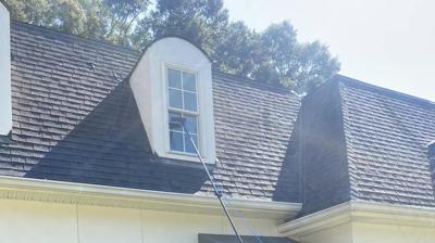 Delta Softwash Team Photo