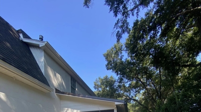 Delta Softwash Team Photo