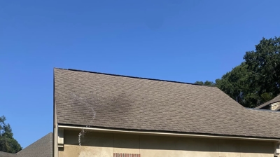 Delta Softwash Team Photo