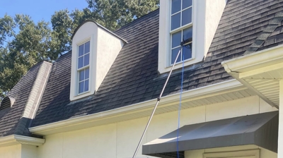 Delta Softwash Team Photo